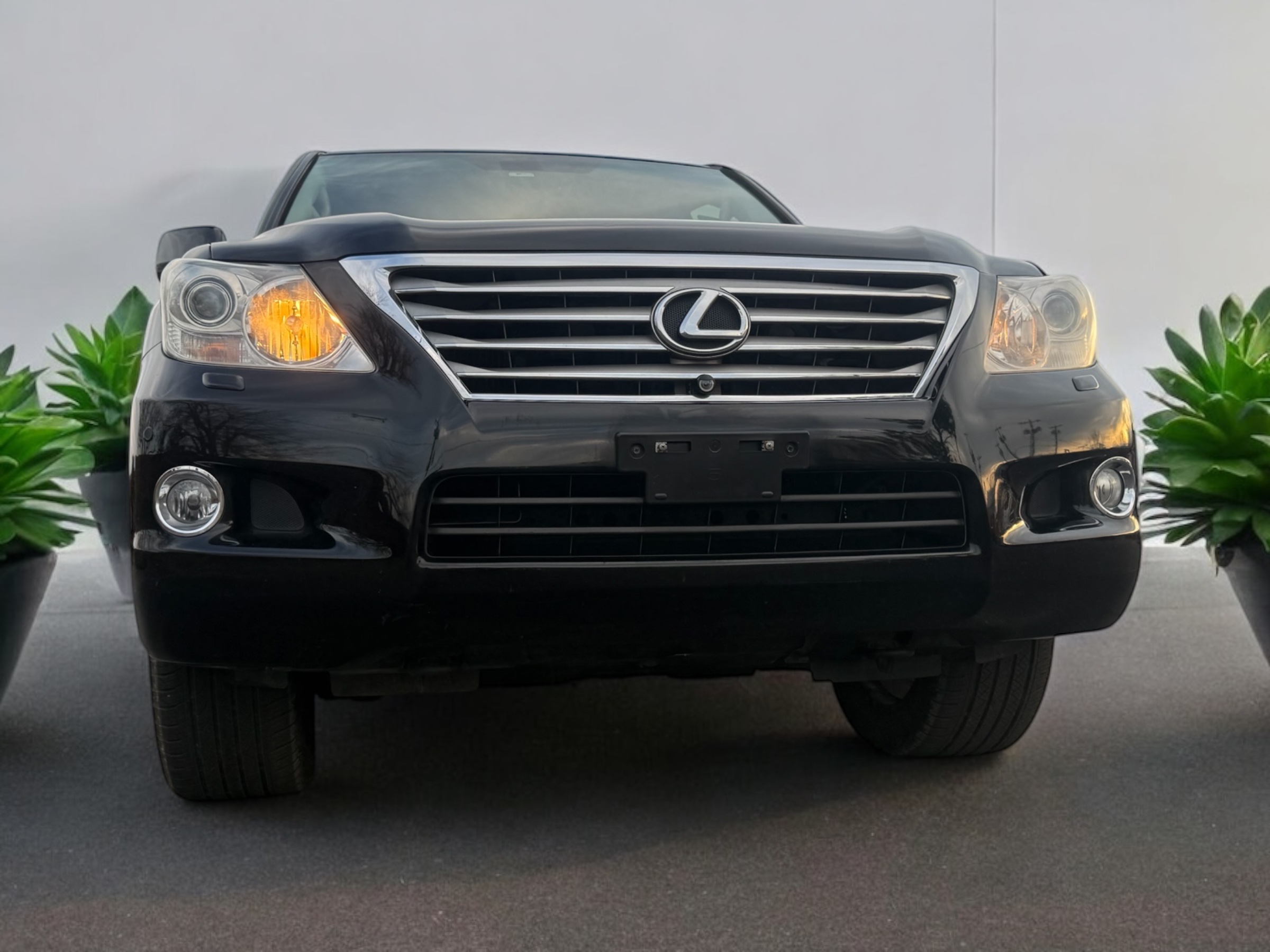 2010 LEXUS LX570