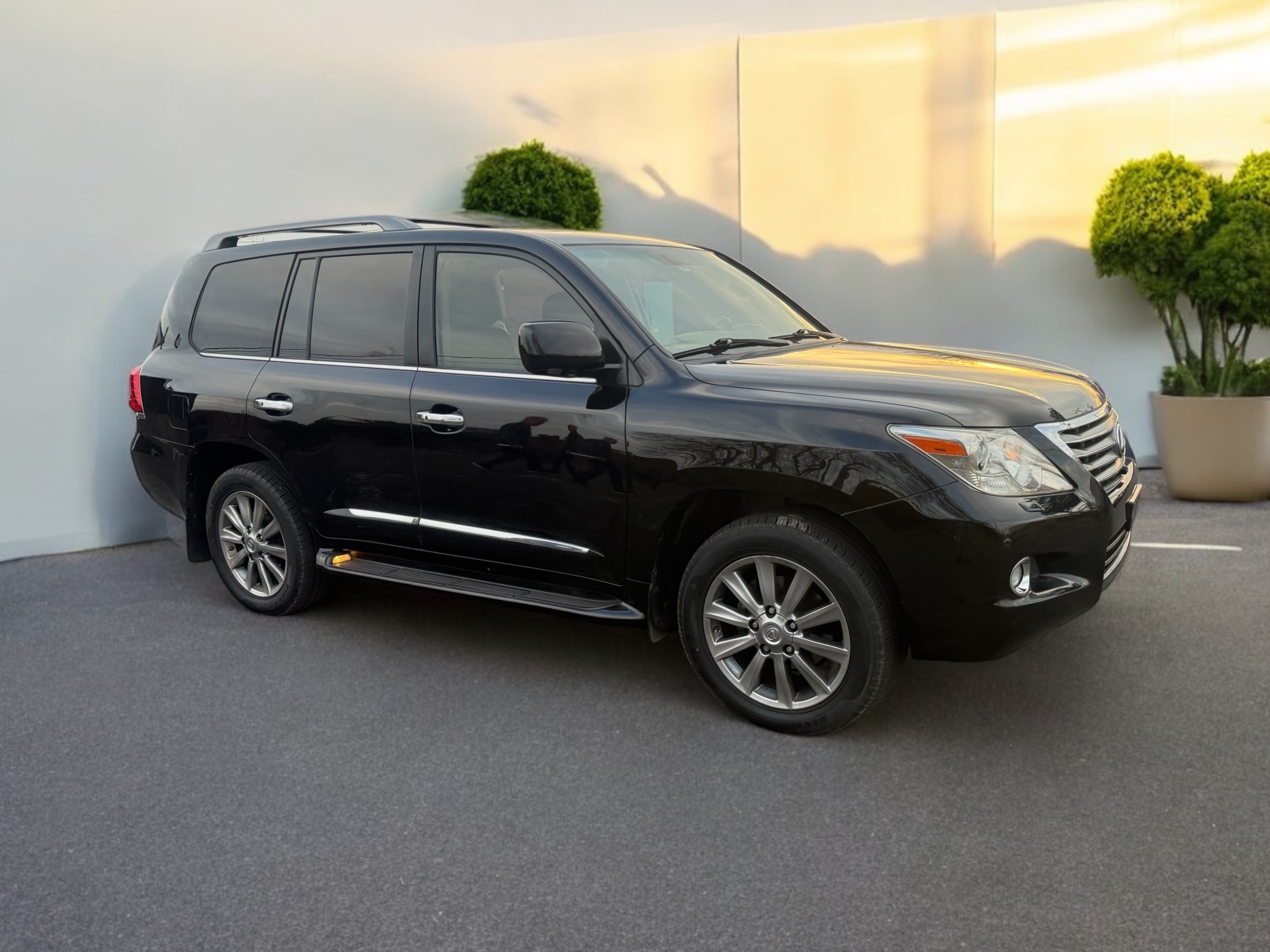 2010 LEXUS LX570